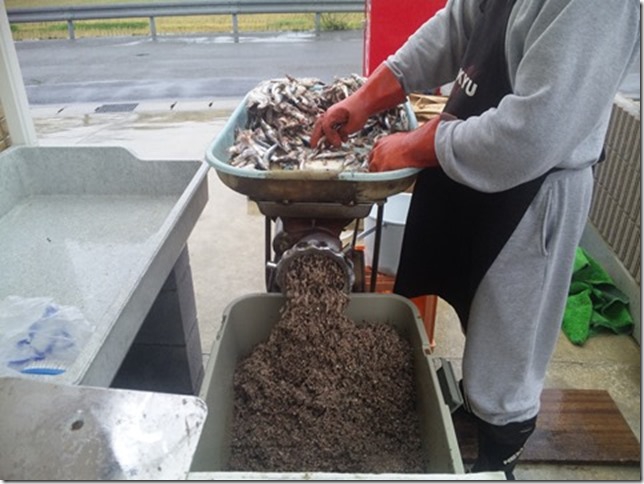 南房総市富浦 釣り餌 釣り具のことなら田仲釣具店 南房総市富浦 釣り餌 釣り具のことなら田仲釣具店