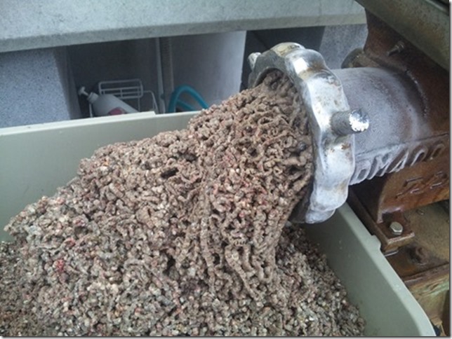 南房総市富浦 釣り餌 釣り具のことなら田仲釣具店 南房総市富浦 釣り餌 釣り具のことなら田仲釣具店